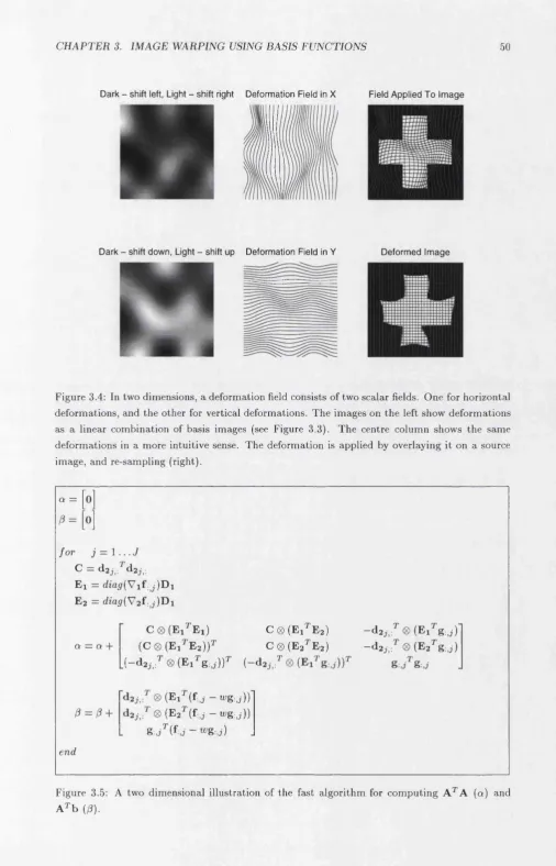 Figure 3.4; In two dimensions, a deformation field consists of two scalar fields. One for horizontal 