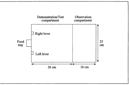 Figure 1. Plan of the two object/two action apparatus used in Experiments 1-7. The dashed line shows the position of the wire-mesh partition.