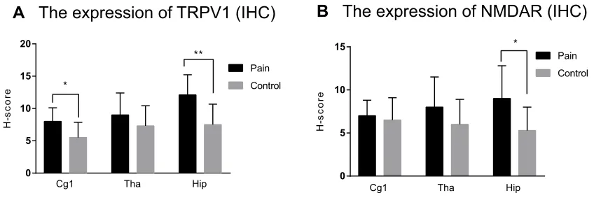 Figure 5 The expressions of the TRPV1 and NMDAR in mRNA level. (increased signiAbbreviation:cingulate cortex (control group by qRT-PCR