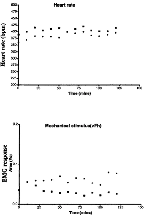 Figure 2The stability of the preparation is shown here as a plot o f heart rate and EMGresponse over tim e for two P21 pups