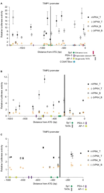 Figure 2 Loci-specific transactivation of the mouse TIMP promoters using dCas9.nVP64.Abbreviation:Notes: Fold-induction over the no gRNA transfection controls using dCas9.nVP64 (black circle) or dCas9 (orange triangle) and the relative gRNAs targeting loci