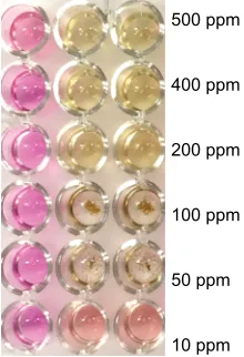 Figure S2 (A) The various light sources and their characteristics, and the corresponding hydrodynamic diameter of the silver nanoparticles formed using a precursor solution of 1% (w/v) silver nitrate and 1% (w/v) BPei 25K