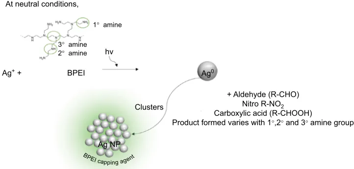 Figure 1B where the potassium permanganate was quickly 