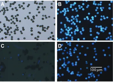 Figure 1 Adhesion of various fullerene fine particles to Cryptomeria japonica pollen grains