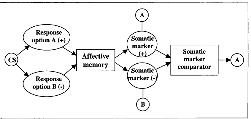 Figure 1.3: Possible representation of the somatic marker hypothesis (e.g., Damasio, 1994; Bechara et al., 2000)