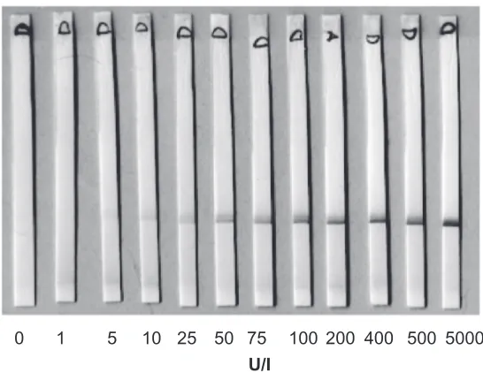 Figure 1 Test strips run with samples of human chorionic gonadotropin at indicated concentrations