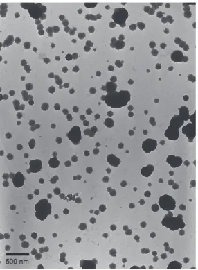Figure 4 Transmission electron micrograph of superparamagnetic particles used in the present assay