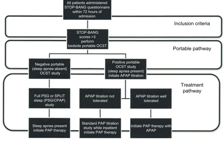 Figure 4 an example of acute sleep medicine ischemic stroke protocol within 72 hours from the onset of acute ischemic stroke