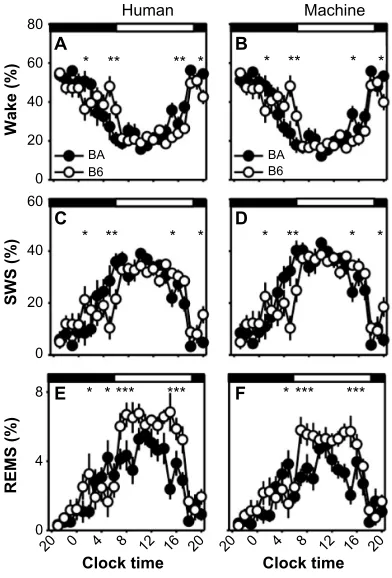 Figure 10 Strain differences in sleep/wake state timing scored in 10-second epochs.Notes: Strain differences in the time course of sleep/wake states were observed in human-scored data (A, C and E) or machine-scored data (B, D and F)