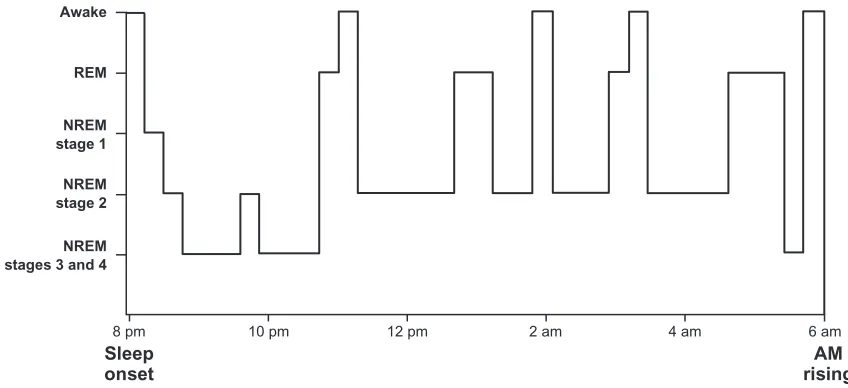Figure 1 Schema of typical night sleep pattern of sleep states and stages.Abbreviations: REM, rapid eye movement; NREM, nonrapid eye movement.Note: Reprinted from: Adair RH, Bauchner H