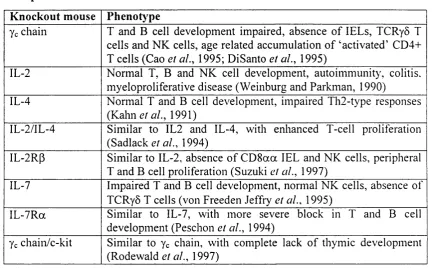 Table 1.2: The phenoty pe of mice deficient in yc chain dependent cytokines or