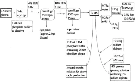 Figure 3. A flow diagram showing the processes used to prepare Ig o f final protein 