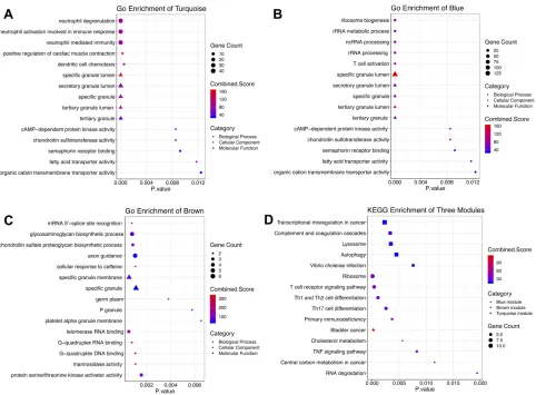 Figure 3 Top 5 GO analysis and KEGG pathway enrichment results for genes in three modules.score