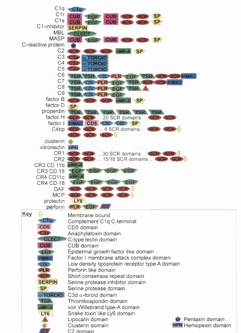 Figure 1.2 Summary of the domain types that occur in complement protein structures. 