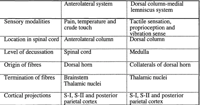 Table 1.1: Summary of the two major ascending sensory systems 