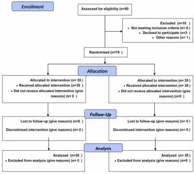 Figure 1 Consort ﬂow diagram.