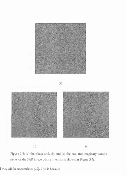 Figure 3.8: (a) the phase and, (b) and (c) the real and imaginary compo­