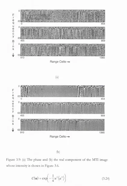 Figure 3.9: (a) The phase and (b) the real component of the MTI image 