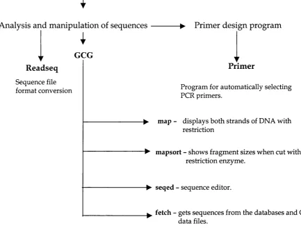 Figure 2.1 shows the location of commonly used programs within the HGMP MAIN 