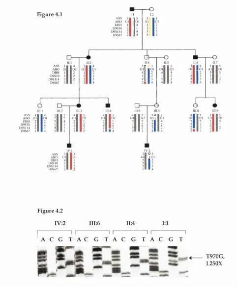 Figure 4.1I; IASS 31 
