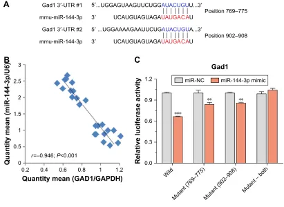 Figure 4 miRNA-144-3p can bind to the Gad1 mRNA predicted region.Notes: (A) miRNA-144-3p targeted to Gad1 was predicted by three miRNA target prediction databases (Targetscan, RNA22, and miRDB)