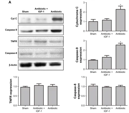 Figure 10 (Continued)