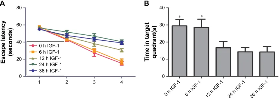 Figure 6 igF-1 cannot improve the memory of septic rats in a new environment when it is administrated at 12, 24, or 36 hours after clP