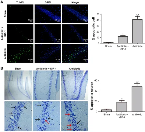 Figure 9 inhibition of cell apoptosis in the hippocampus is associated with improvement of memory and learning during sepsis.Nissl’s staining was visualized under an optical microscope (40(black arrow), while those with early or end-stage apoptotic morphol