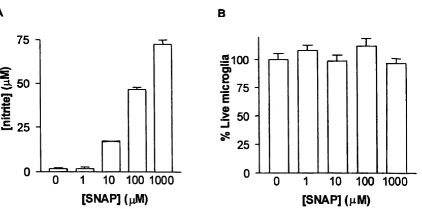 Fig 3.3.7 Effect of the nitric oxide donor, SNAP, on nitrite accumulation and cell 