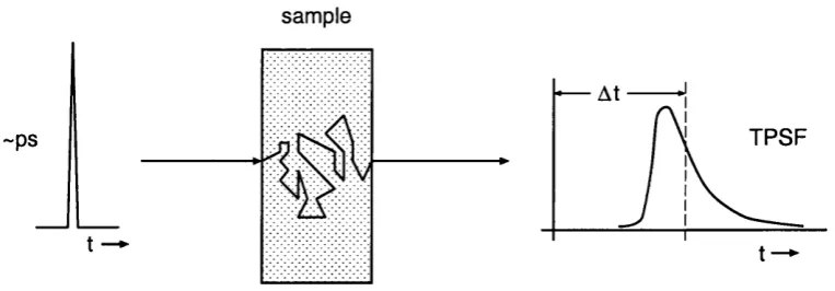 Figure 2.1: Graphical representation of broadening of a picosecond pulse propagating through a highly scattering medium.