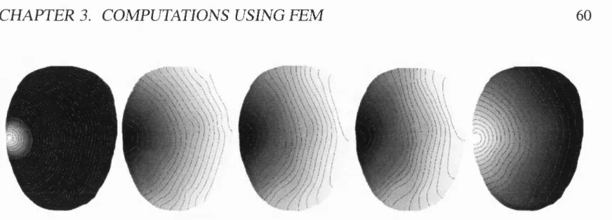 Figure 3.1 shows examples of forward calculated solutions for some data types that will be 