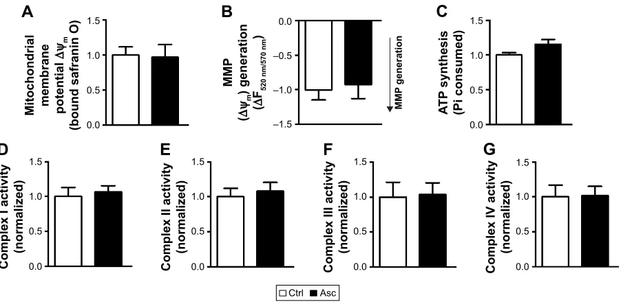 Figure S1 supplementation of ascorbic acid alone does not affect the bioenergetics of cortical sM.Notes: MMP at both basal states (A) and in presence of substrates (B) was not altered in sM fraction isolated from rat pups supplemented with ascorbic acid wh