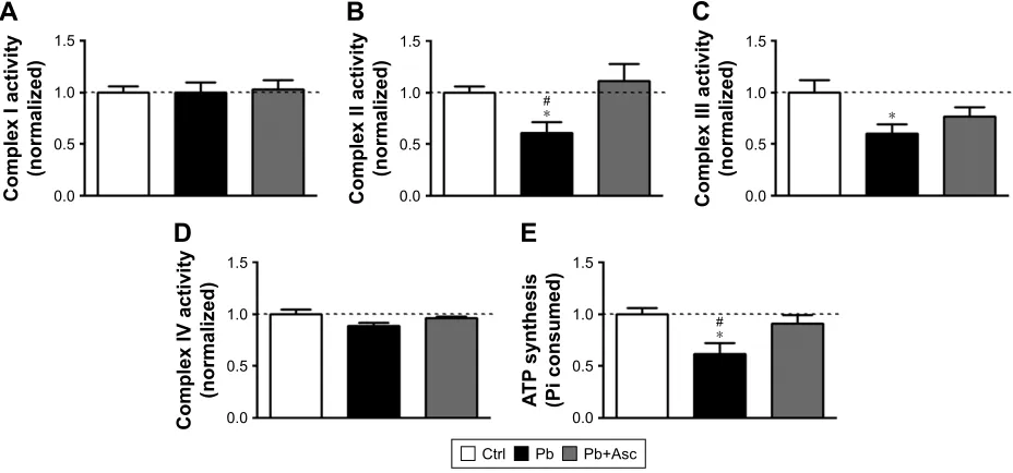 Figure 4 sM from cerebral cortices of rat pups exposed to Pb show alterations in basal mitochondrial membrane potential as well as energization-induced generation of mitochondrial membrane potential and ascorbic acid abolishes these alterations.Notes: MMP 