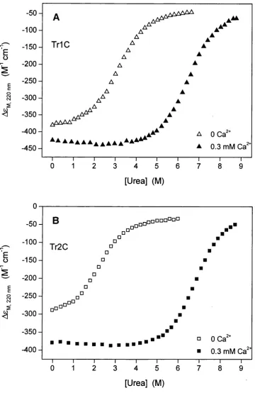 Figure 3.5 (A) Urea-induced dénaturation of TrlC at 0 (A) and 0.3 (A) mM Ca^"^. (B)