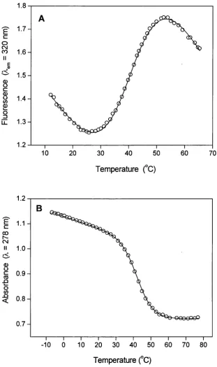Figure 3.13 (A) Thermal dénaturation of apo-CaM (C-domain) monitored in 10 mM Hepes, 100 mM KCl, pH 8, using Tyr-138 fluorescence