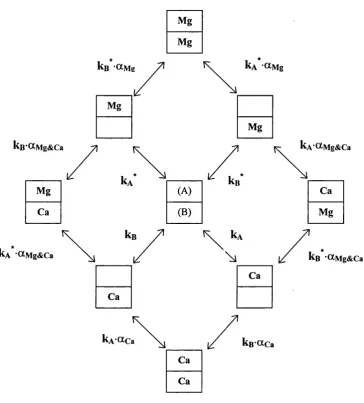 Figure 2.3 Schematic representation of Ca^^ and 