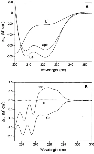 Figure 3.2 Far- (A) and near- (B) UV CD spectra of CaM under different solvent 