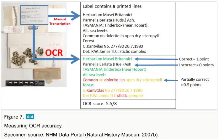 Table 4. Processing times for OCR programs using whole images and segments.
