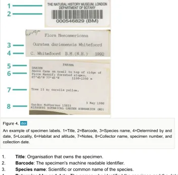 Fig. 1a. In general, the labels can contain the following information: