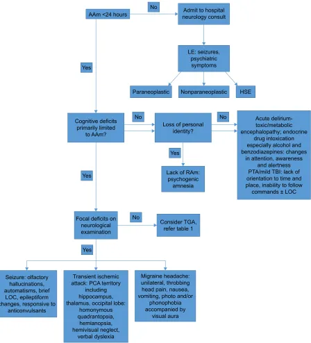 Figure 1 Diagnostic algorithm of anterograde amnesia.Abbreviations: AAm, anterograde amnesia; eeG, electroencephalogram; HSe, herpes simplex encephalitis; Le, limbic encephalitis; LOC, loss of consciousness; PCA, posterior cerebral artery; PTA, posttraumatic amnesia; RAm, retrograde amnesia; TBi, traumatic brain injury.