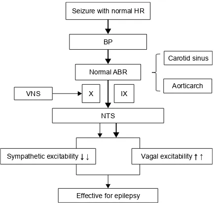 Figure 1 The mechanism of action of VNS efficacy in patients with normal HR during seizures.Notes: The mechanical signals coming from patients with normal HR during seizures and the mechanical signals coming from patients with the activation of vagal affer