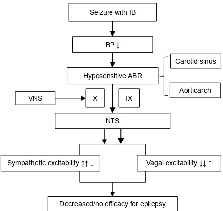 Figure 3 The mechanism of action of VNS efficacy in patients with IB during seizures.Notes: The mechanical signals coming from patients with iB during seizures may be insufficient to support the efficacy of VNS