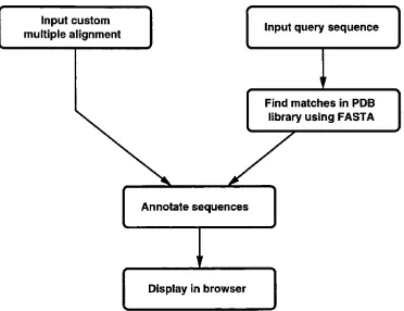 Figure 2.3: The processes involved in generating SAS output.