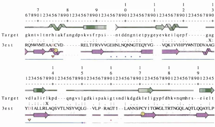 Figure 2.7; SAS alignment showing CASP2 target 31 and elastase (PDB code 3EST). Note the two of the four active site residues are conserved (alignment positions 75 and 132)