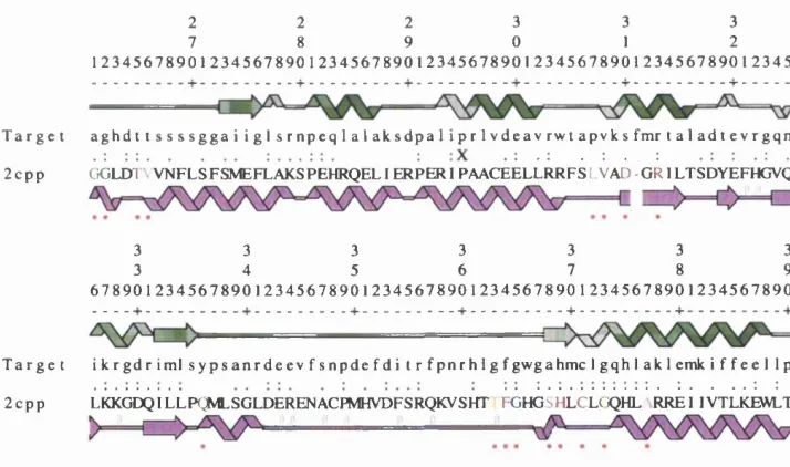Figure 2.8: SAS alignment showing the cytochrome p450 proteins (PDB codes ICPT and 2CPP) from Fischer’s second fold recognition benchmark