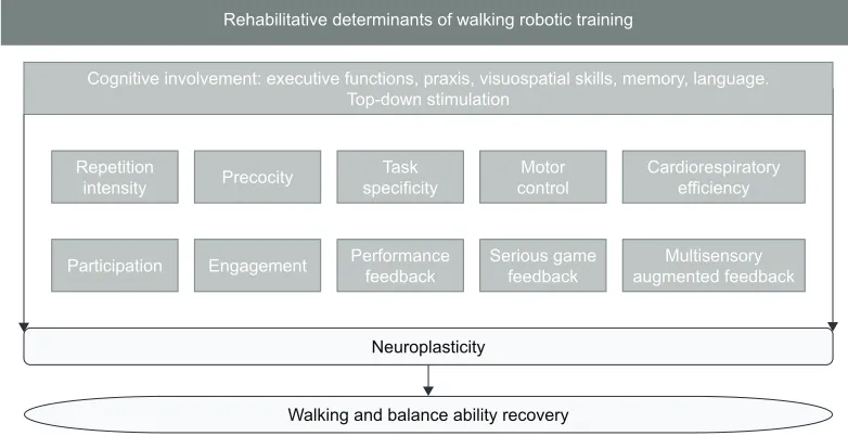Figure 1 The determinants of gait and balance by multisystem rehabilitation of patients with stroke who may benefit from robotic training.