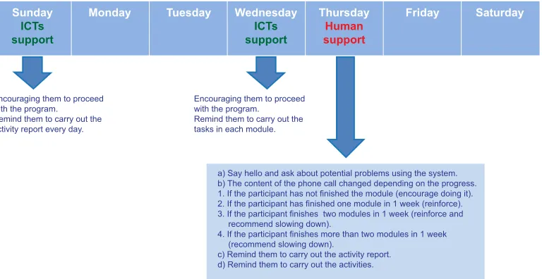 Figure 1 Structured protocol for the type of support provided to participants.Abbreviation: iCT, information and communication technology.