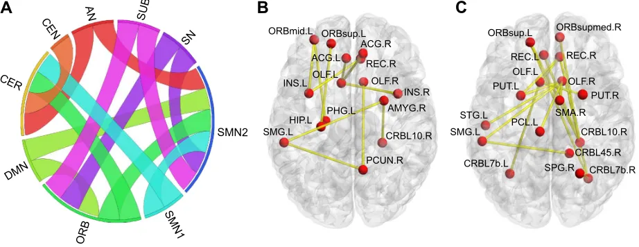 Figure 2 increased positive functional connectivities in patients with insomnia.Notes: (A) From the network point of view, ribbon represents connectivity