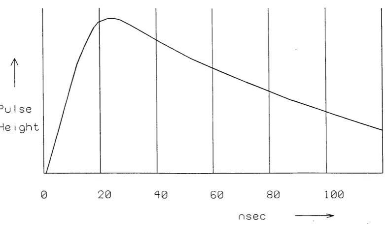 Figure 2.1: A Typical Pulse