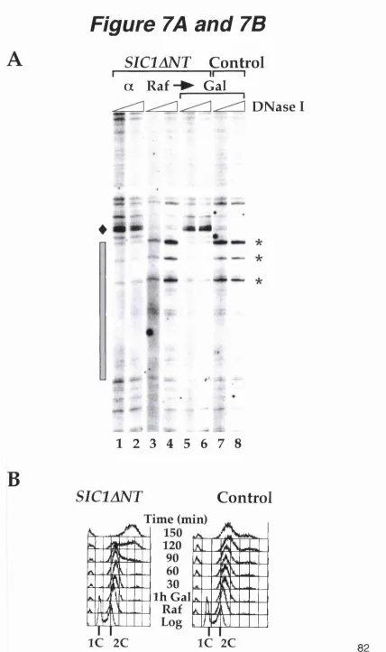 Figure 7A and 7B